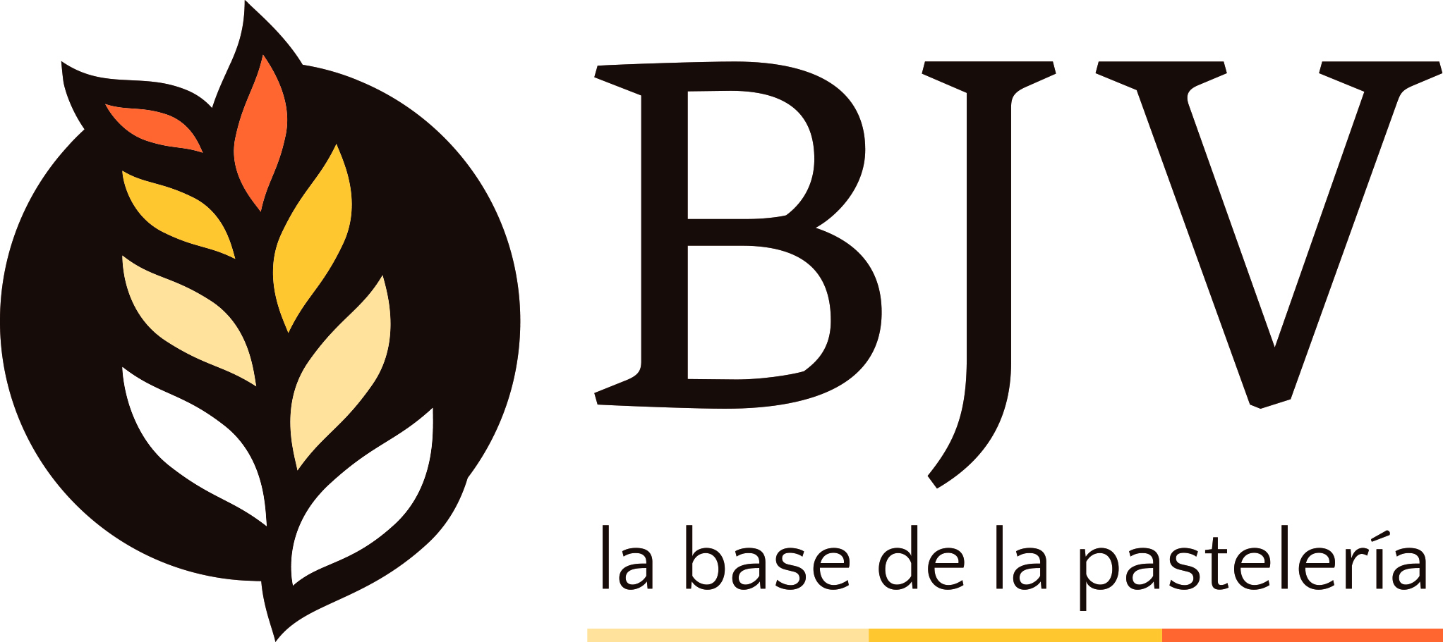 Logo de BJV